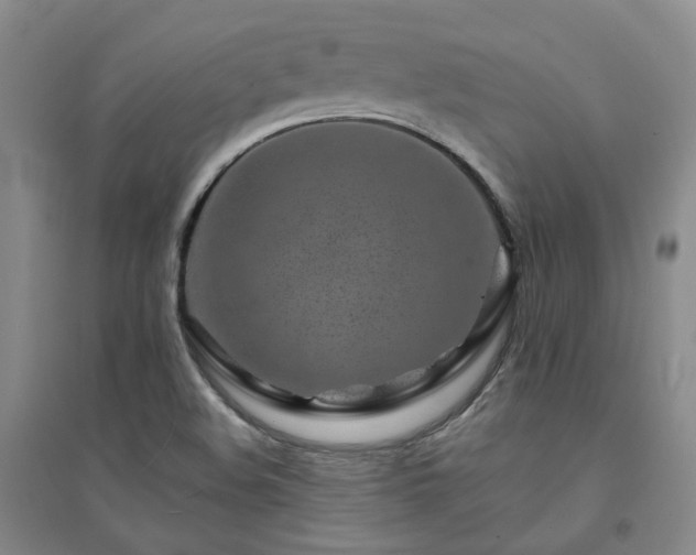 X0000094431508200711151331