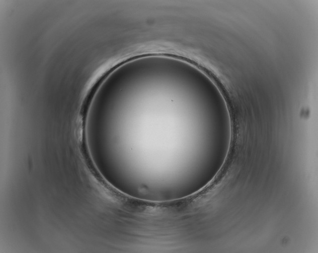 X0000094431509200711151331