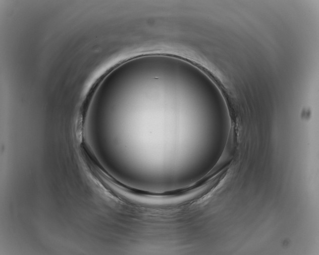 X0000094431510200711151331