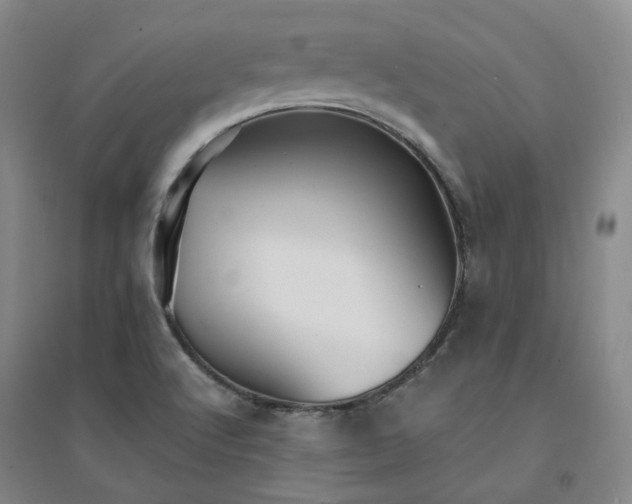 X0000094431512200711151331