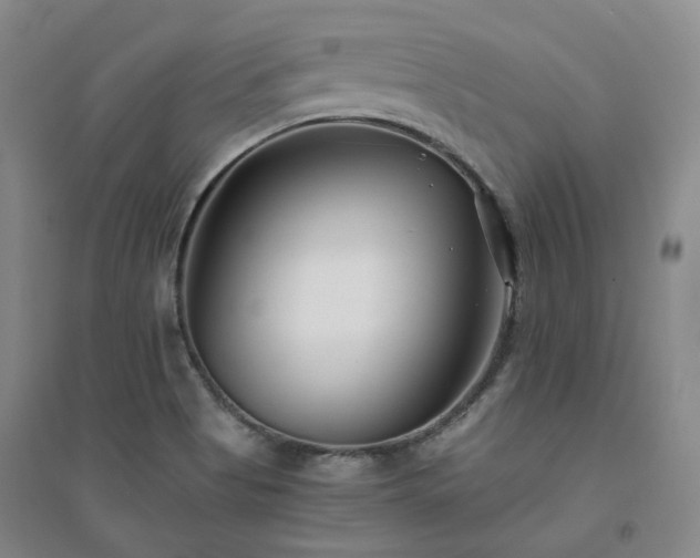 X0000094431513200711151331
