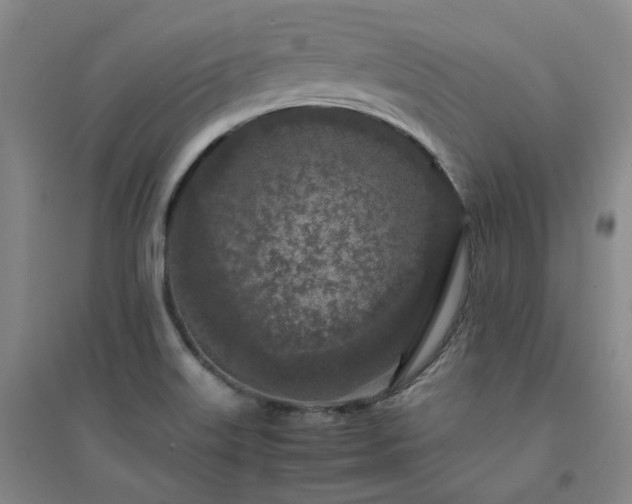 X0000094431515200711151331