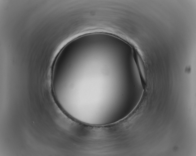 X0000094431516200711151331