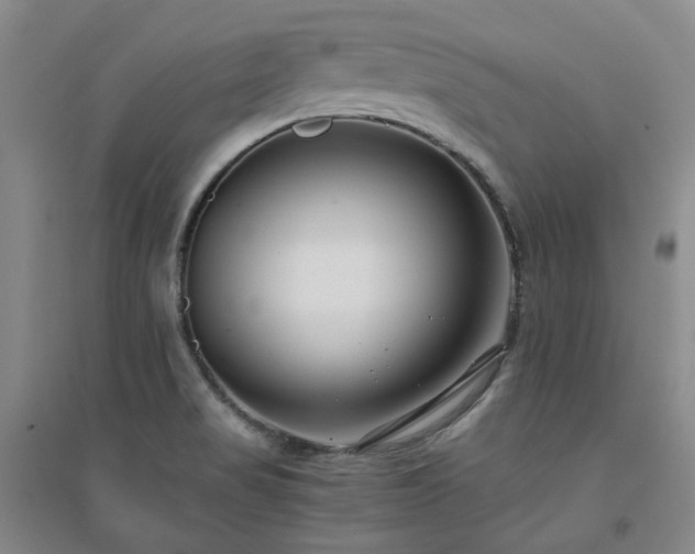 X0000094431517200711151331