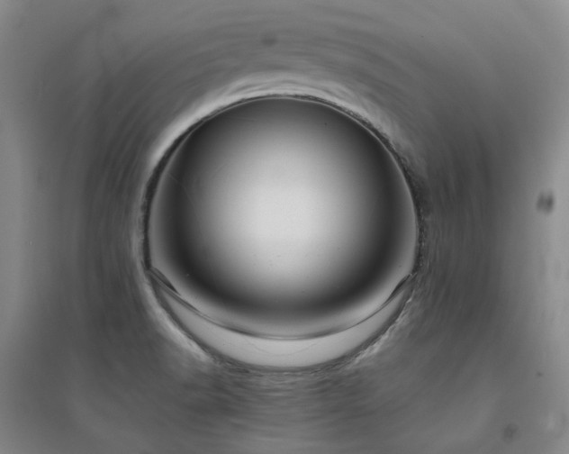 X0000094431518200711151331