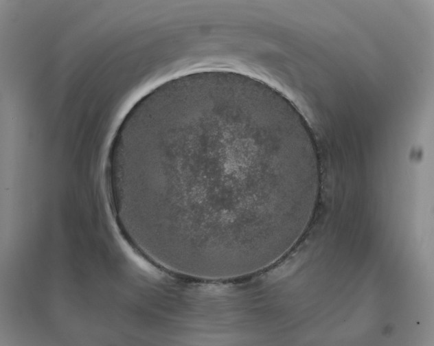 X0000094431519200711151331