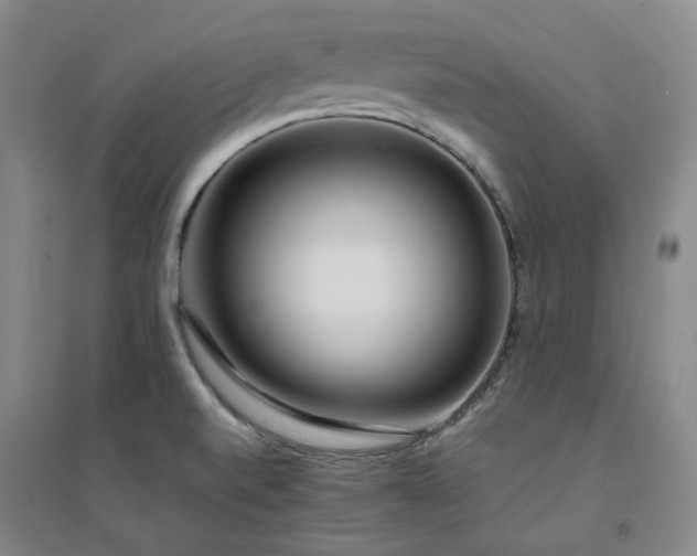 X0000094431520200711151331