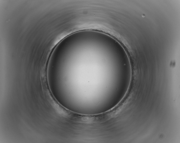 X0000094431521200711151331