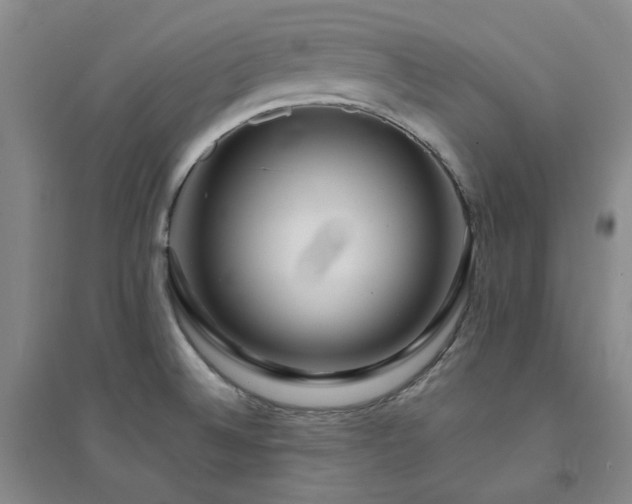 X0000094431524200711151331