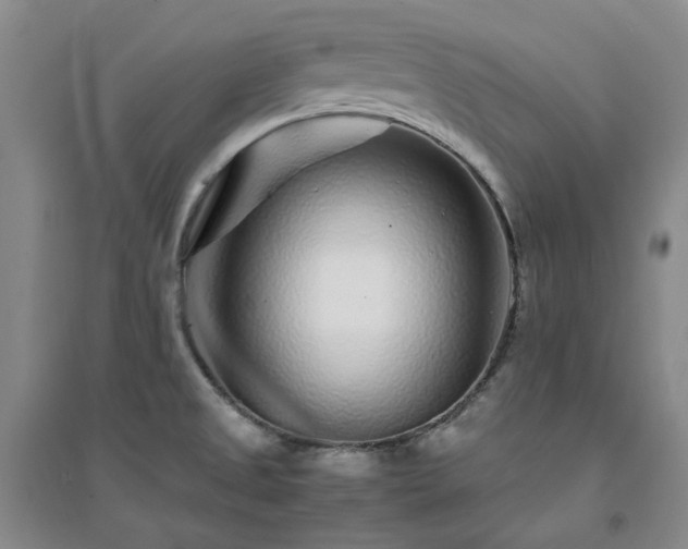 X0000094431525200711151331