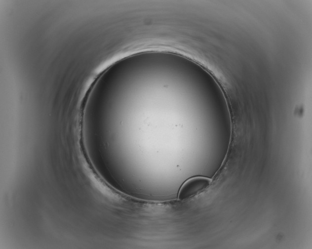 X0000094431526200711151331