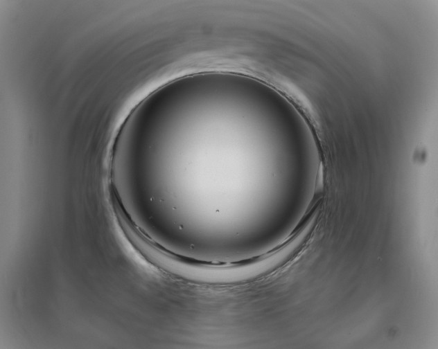 X0000094431528200711151331
