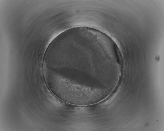 X0000094431529200711151331