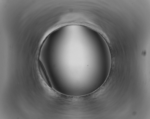 X0000094431530200711151331