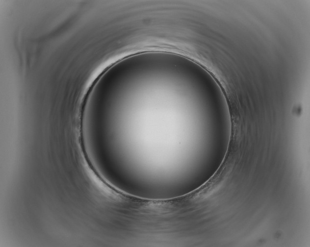 X0000094431531200711151331