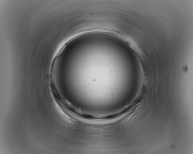 X0000094431532200711151331
