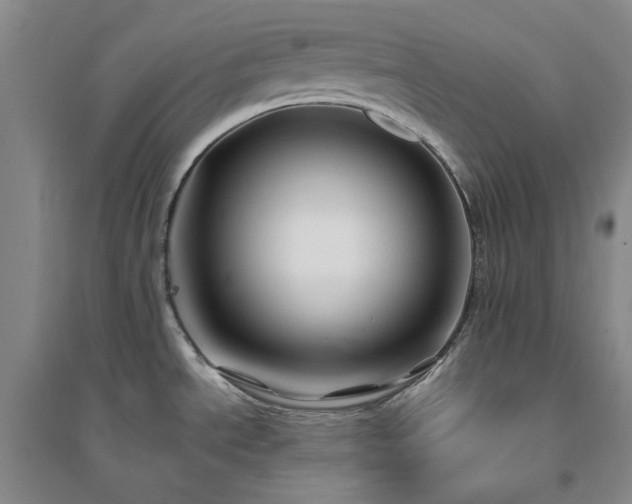 X0000094431534200711151331