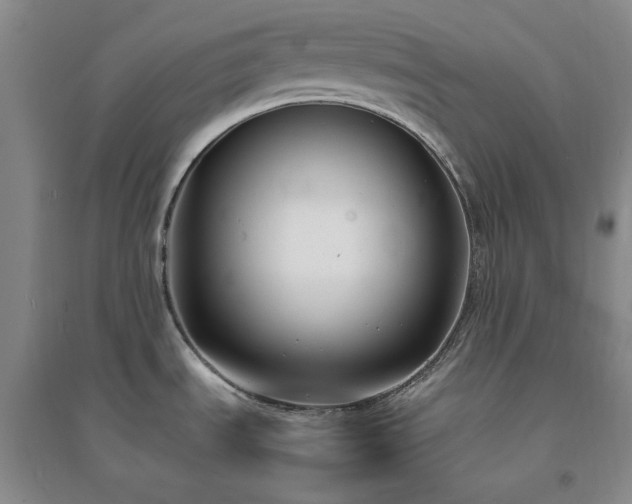 X0000094431535200711151331