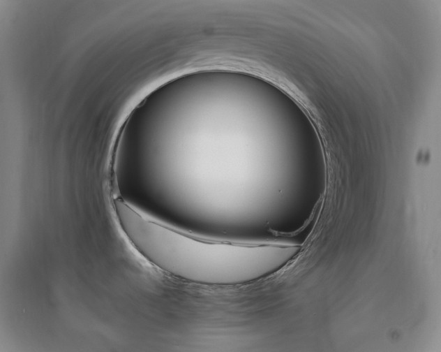 X0000094431536200711151331