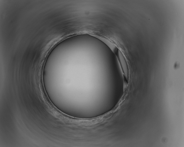 X0000094430001200711211444