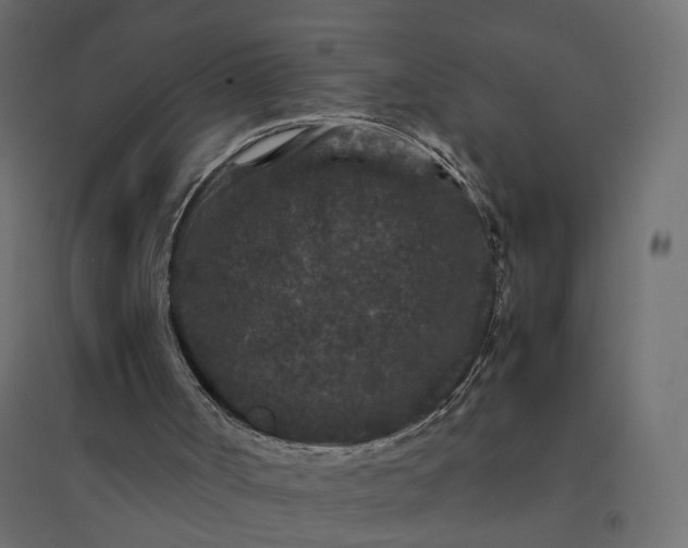 X0000094430002200711211444