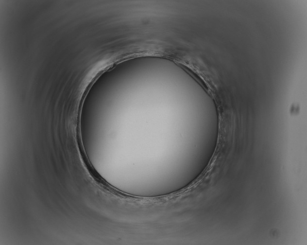 X0000094430003200711211444