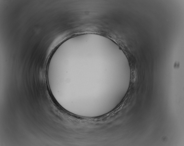 X0000094430004200711211444