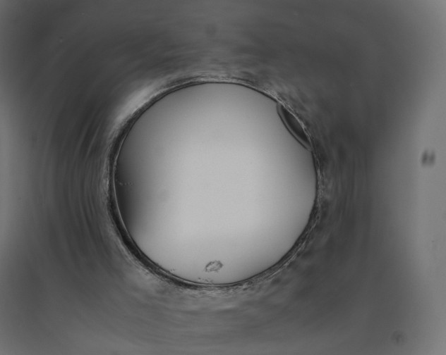 X0000094430005200711211444