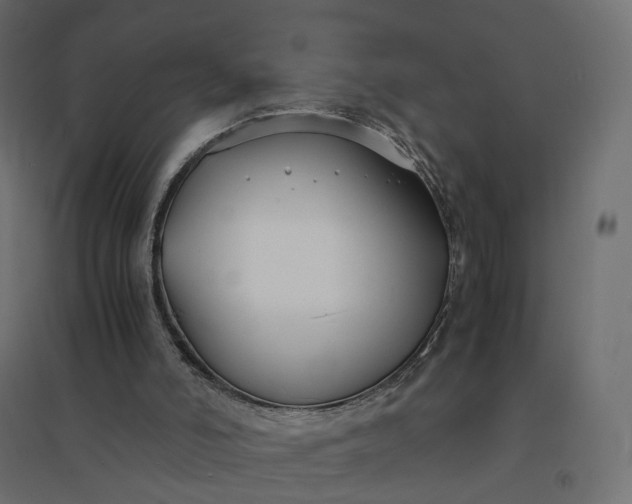 X0000094430006200711211444