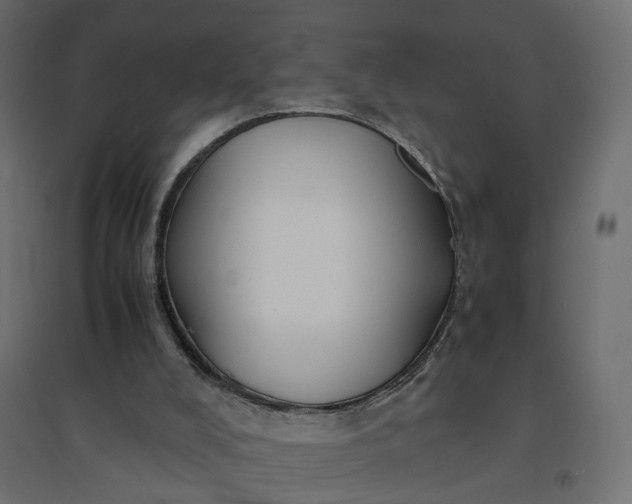 X0000094430008200711211444