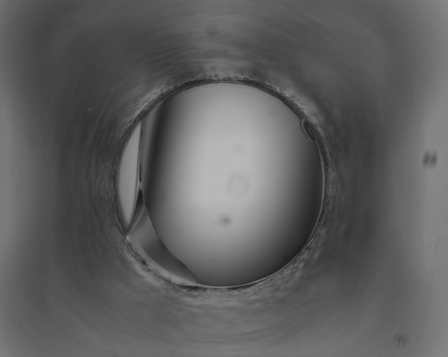 X0000094430009200711211444