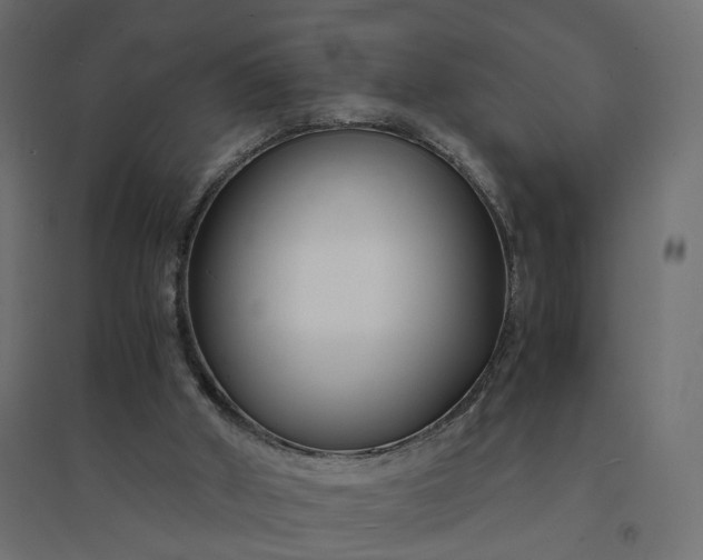 X0000094430010200711211444