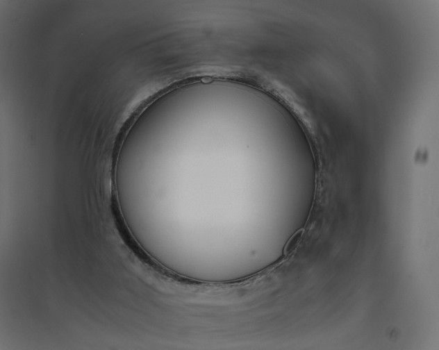 X0000094430011200711211444