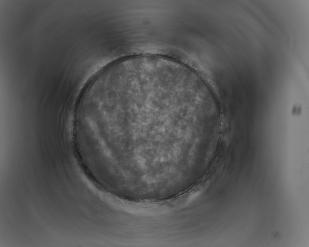 X0000094430012200711211444