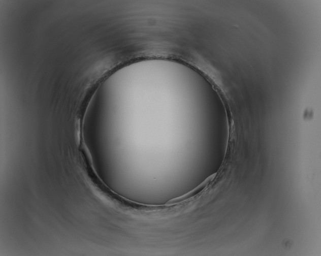 X0000094430013200711211444