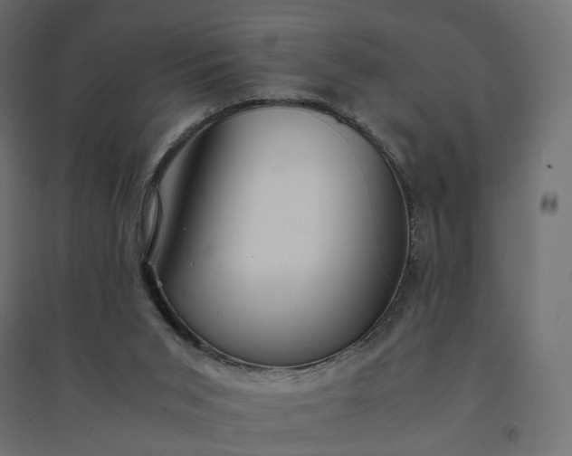 X0000094430015200711211444