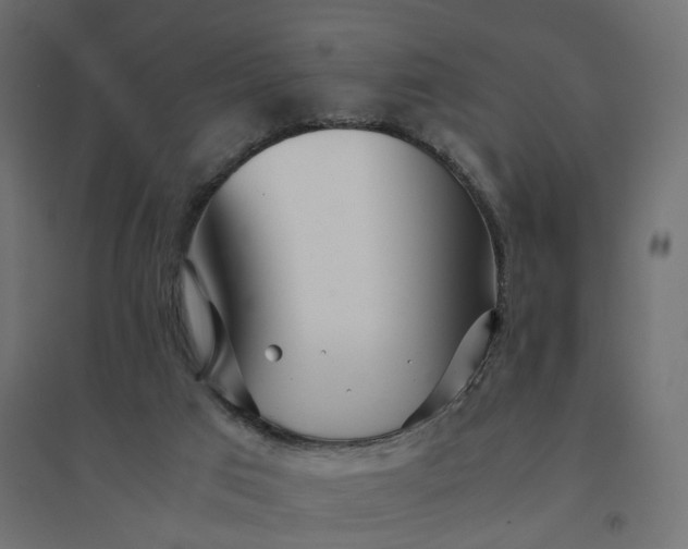 X0000094430017200711211444