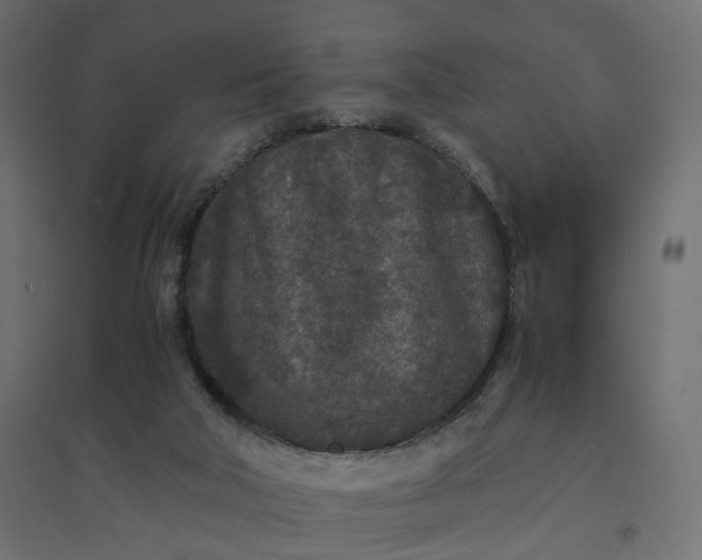 X0000094430018200711211444