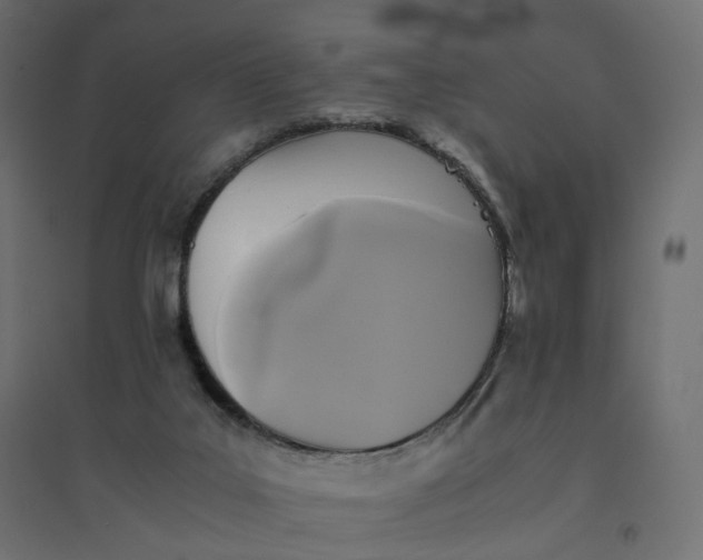 X0000094430019200711211444