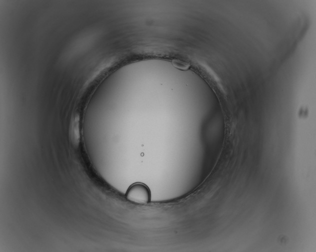 X0000094430020200711211444