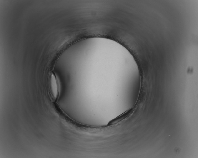 X0000094430021200711211444