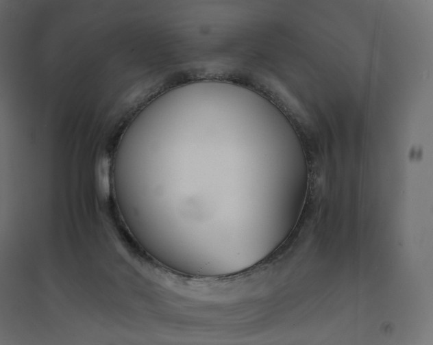 X0000094430022200711211444