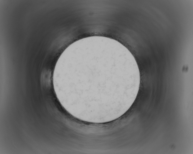 X0000094430024200711211444