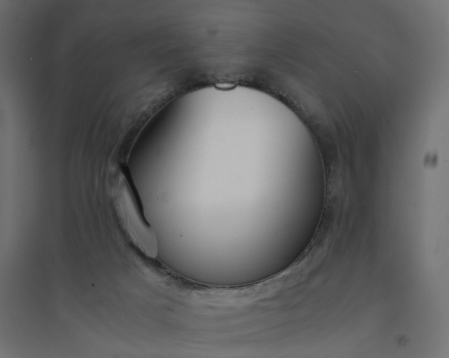 X0000094430025200711211444