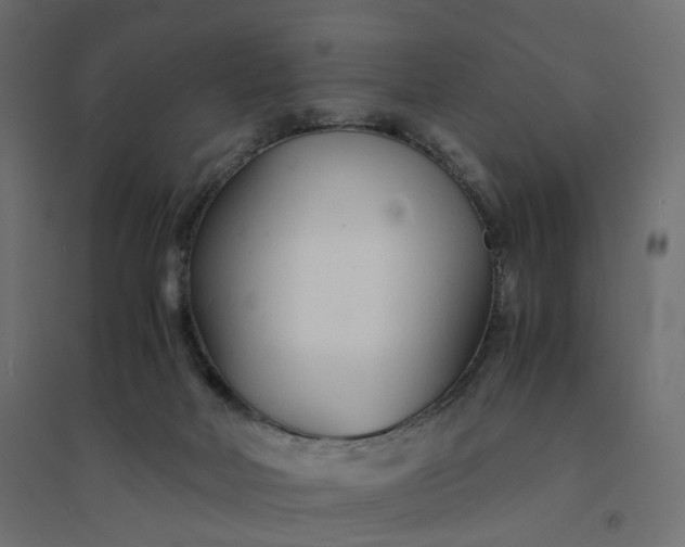 X0000094430026200711211444