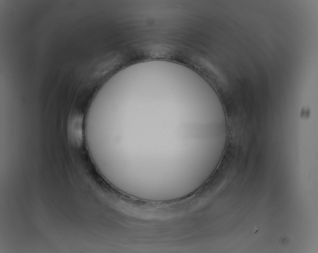 X0000094430028200711211444