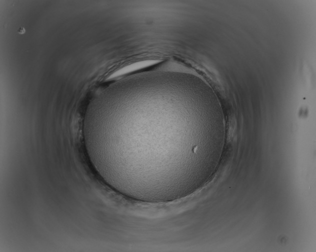 X0000094430029200711211444