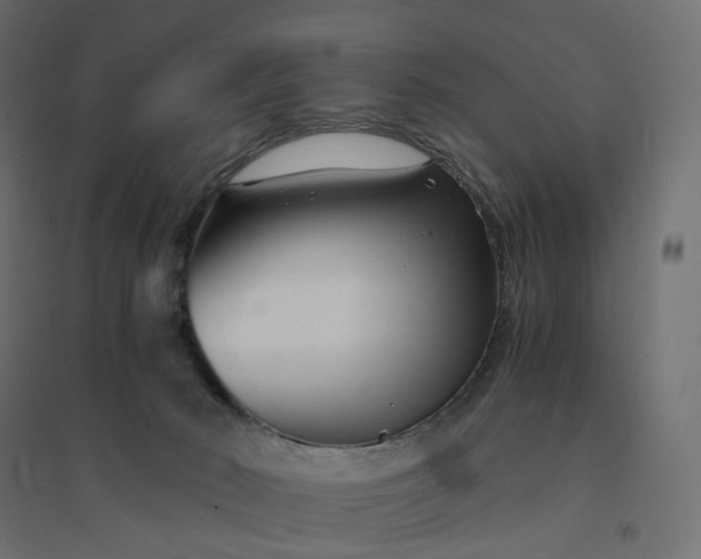 X0000094430030200711211444