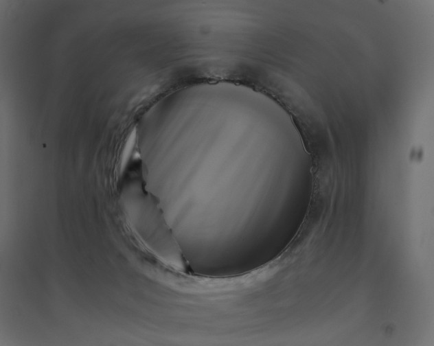 X0000094430031200711211444