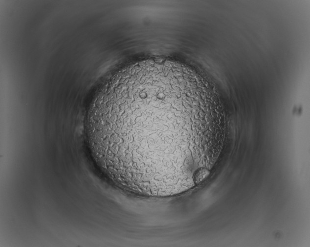 X0000094430032200711211444